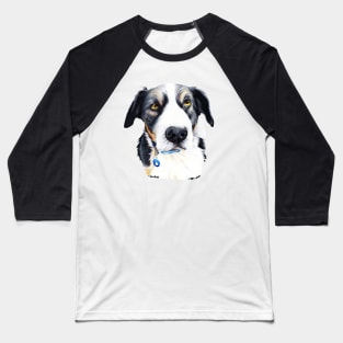 Bruce Baseball T-Shirt